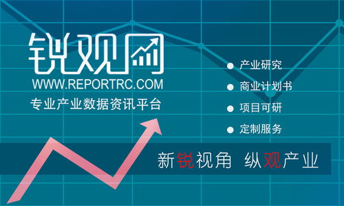 2023-2028年中國平板電腦市場發展預測及投資策略分析報告
